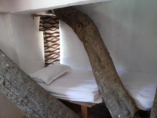 Junglee Resort Rajaji National Park Rishīkesh Habitación foto